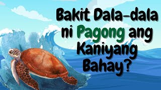 Bakit Daladala ni Pagong ang Kaniyang Bahay [upl. by Einegue930]