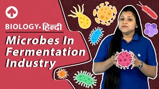 Microbes In Fermentation Industry  Biology [upl. by Mahtal]