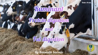 Protein and fat digestion in ruminants  by Kaustubh Sarvate [upl. by Wylma426]