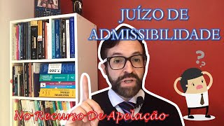 JUÍZO DE ADMISSIBILIDADE NO RECURSO DE APELAÇÃO [upl. by Eiknarf]