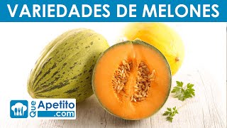 7 Variedades de MELÓN  QueApetito [upl. by Severen774]