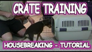 Crate Training a Puppy  Housebreaking  Tutorial [upl. by Gomer]