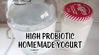 How To Make High Probiotic Homemade Yogurt  Salton Yogurt Maker [upl. by Cirone]