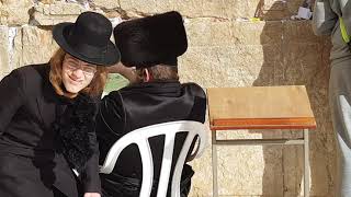 Why do Hasidic Jews wear a fur hat The Western Wall Wailing Wall Jerusalem Israel [upl. by Randall]