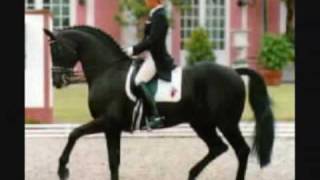 Legendary Dressage Stallion Rubinstein [upl. by Aimak345]