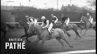 Grand National 1964 [upl. by Ocihc]