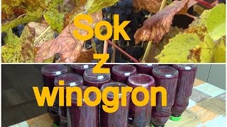 winogronowy sok  multiwitamina [upl. by Ennyleuqcaj]