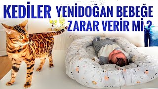 KEDİLER YENİDOĞAN BEBEĞE ZARAR VERİR MİMİNTİKİN BEBEĞİMİZLE İLK KARŞILAŞMASI TEPKİSİ ALIŞMA SÜRECİ [upl. by Fillander]