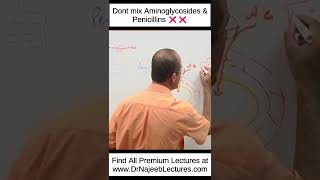 Dont Mix Aminoglycosides And Penicillins ❌❌ shortvideo shorts drnajeeb drnajeeblectures [upl. by Orhtej]