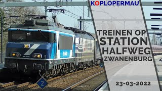 Treinen op station HalfwegZwanenburg  23 maart 2022 [upl. by Skcirdnek387]