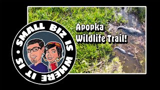 While Youre in Florida Biking the Lake Apopka Wildlife Trail [upl. by Mirabel495]