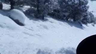 Polaris Ranger 570 Crew in 2 foot mountain snow [upl. by Yerffeg]