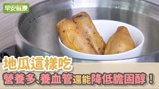 地瓜這樣吃，營養多、養血管還能降低膽固醇！【早安健康】 [upl. by Ahsercel]