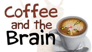 How Coffee Affects Your Brain [upl. by Bambie132]