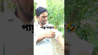 পাংকু মাস্তান🤣🤣comedy [upl. by Esyned]