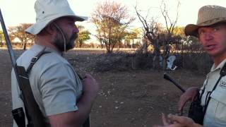 Africa Namibia Namatubis Hunting Safari vid leverans av två Gonczy Polski valpar jakthundar [upl. by Ahsilrac]