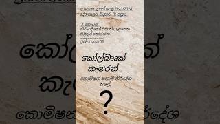 බහුවරණ ප්‍රශ්න අංක 08 🧑‍🎓20232024politicalscience sinhala [upl. by Acinoreb]