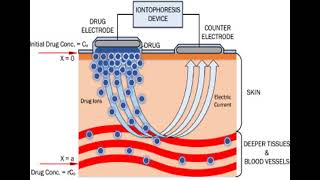 LEC 8 Physical methods for penetration enhancement شرح بالعربي [upl. by Nylsirhc]