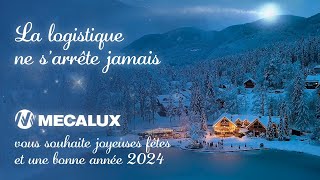 Meilleurs voeux de fin dannée 2023  Mecalux [upl. by Anderer]