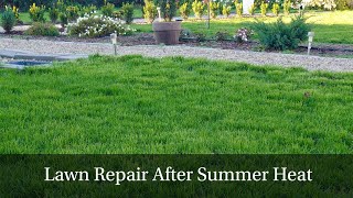 How We Revived Our Lawn After a Hot Summer  StepbyStep Grass Reseeding [upl. by Frulla]