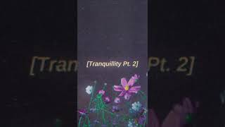 Tranquillity Pt 2  lofi hip hop beat FREE FOR PROFIT USE lofi lofihiphopchill freeforprofit [upl. by Dulcie83]