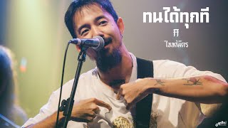 ทนได้ทุกที  ไททศมิตร TaitosmitH「Live in Full House Surin สุรินทร์」4K [upl. by Puklich]