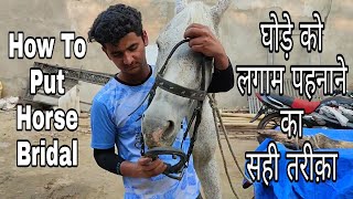 Horse Riding Training  घोड़े की लगाम कैसे लगाई जाती है How To Put Horse Bridal  Horse Club Uqaab [upl. by Acima]