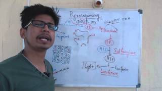 Pyrosequencing [upl. by Benetta]