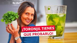 Los poderosos beneficios del TORONJIL [upl. by Luoar]