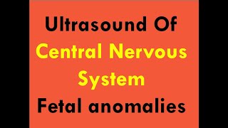 Ultrasound of CNS foetal anomalies [upl. by Kegan]