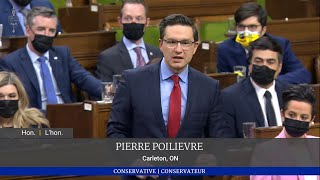 Pierre Poilievre speaks on the ongoing blockades [upl. by Reteip322]