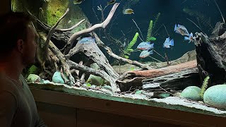 WORLD CHAMPION BIOTOPE AQUASCAPES  DEEP DIVE [upl. by Crooks917]