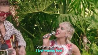 Miley Cyrus  Plastic Hearts Backyard Sessions Lyrics  Español Video Official [upl. by Odlawso]