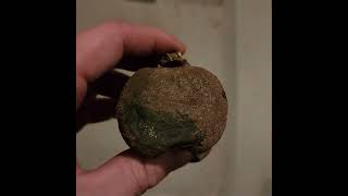 Another sweet Dinosaur Fossil Vertebra from the famous Hell Creek Formation South Dakota [upl. by Summons]