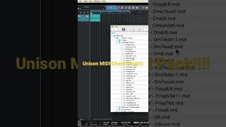 Unison MIDI Chord Pack Discount link is in the description [upl. by Aderf]