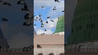 islamicstatus status naatsharif youtubeshort [upl. by Alvin]