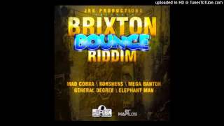 DJ LYTA  BRIXTON BOUNCE RIDDIM MIXX [upl. by Harness]