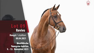 YoungsterAuktion Lot 09 Revivo Hengst v Inaico VDL  Zapatero VDL [upl. by Solly]