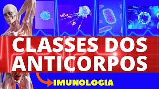 CLASSE DOS ANTICORPOS TIPOS OU ISOTIPOS DE ANTICORPOS  FUNÇÕES DOS ANTICORPOS  IMUNOLOGIA [upl. by Coleen428]