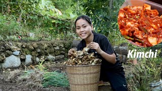 Harvesting Making Kimchi in Tropical Country Bohol Philippines Calming Dinner in the Countryside [upl. by Eirameinna]