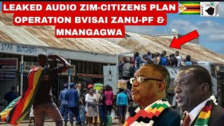 Leaked🥵Audio Chazoputika after ZimCitizens plan inonzi operation vharai ZanuPF amp Mnangagwas regime [upl. by Nnodnarb]