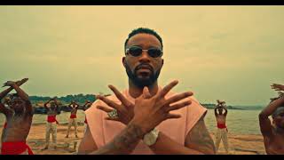 Fally Ipupa  Afsana Clip Officiel [upl. by Perlie]