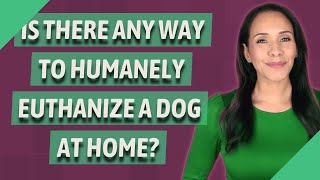 Is there any way to humanely euthanize a dog at home [upl. by Hgielsa]