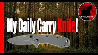 My Daily Carry  Kershaw Cryo II Pocket Knife Review  Blade Perfection [upl. by Eked]