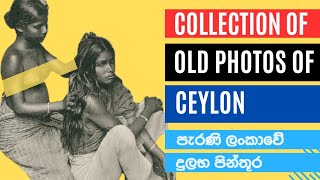 Old Ceylon Historic Photos  Sri Lankas Past [upl. by Enajaras]