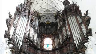 Koncert organowy w Katedrze Oliwskiej Organ concert in the Oliwa Cathedral [upl. by Ecnadnak]