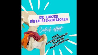 Die kurzen Hüftaußenrotatoren im Detail für meine HMs  Anatomie des Menschen einfach erklärt [upl. by Sikorski]