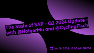 The State of SAP  Q2 2024 Update  with Holger Mueller and Martin Fischer [upl. by Honorine930]