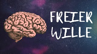 Die Illusion des freien Willens  Psychologie Neurowissenschaft amp Philosophie [upl. by Ricarda]