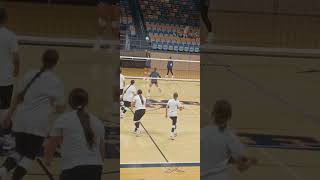 High School Summer Volleyball Action Vinemont High School vs Plainview July 23 2024 [upl. by Mile103]